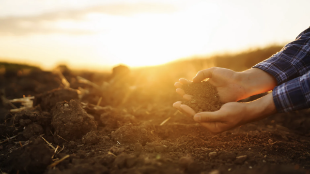 Qual é a dependência do agro brasileiro das importações de fertilizantes?