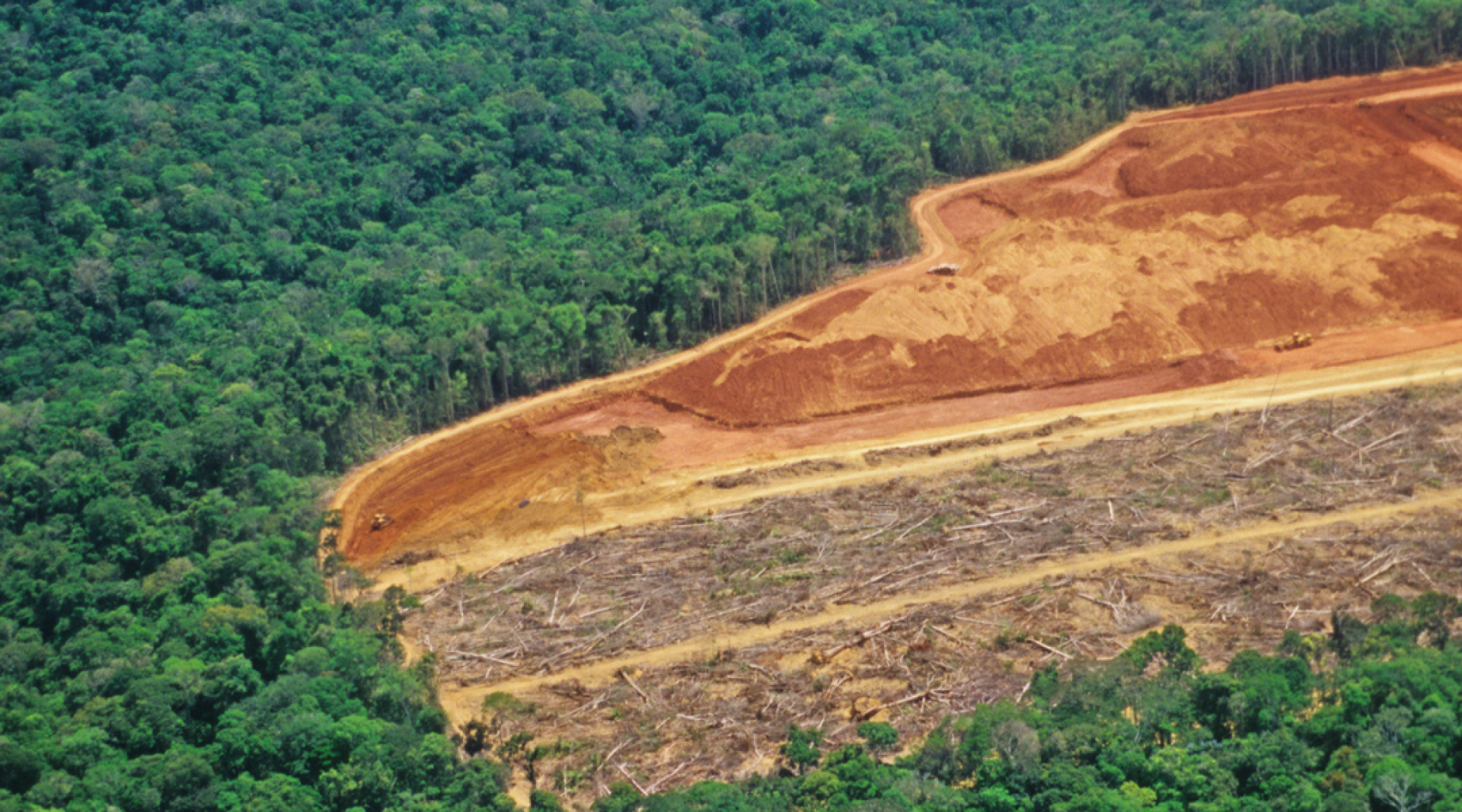 Os acordos ambientais voluntários são eficientes no combate ao desmatamento?