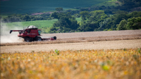 Efeito Poupa-Terra: produtividade é a chave para a sustentabilidade ambiental do agro brasileiro?