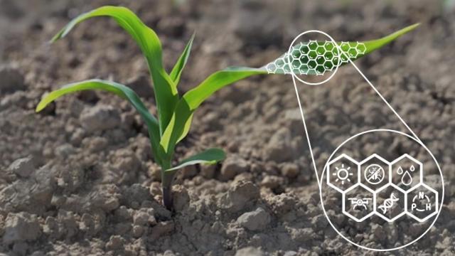 Como a nanotecnologia está influenciando o agronegócio?