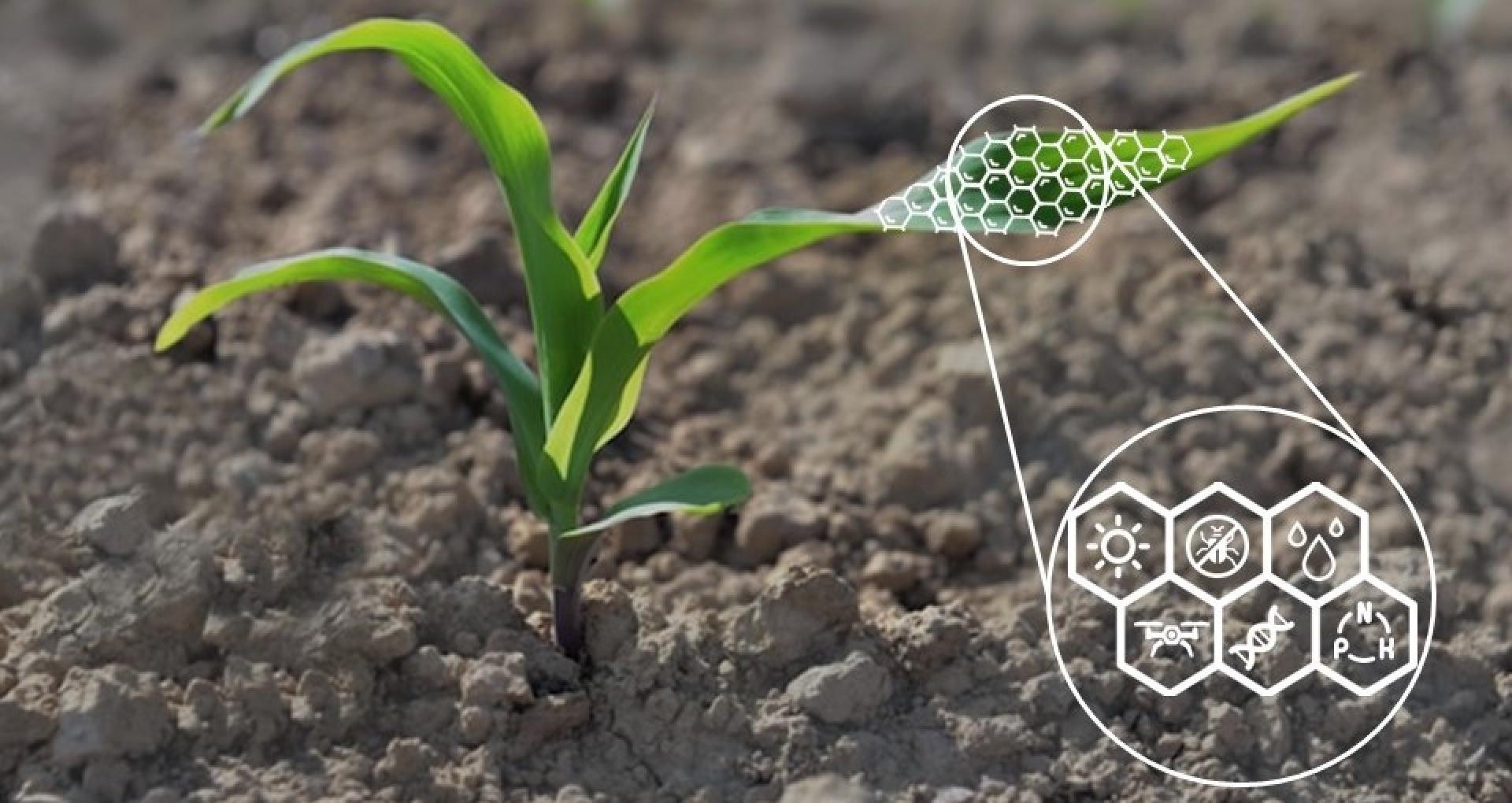 Como a nanotecnologia está influenciando o agronegócio?