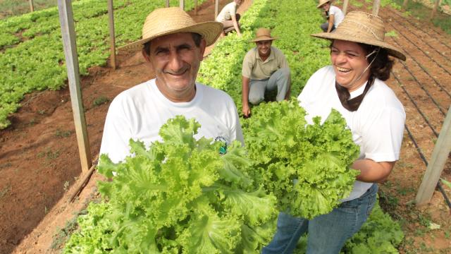 O que é agricultura familiar e qual é sua importância no agro brasileiro?