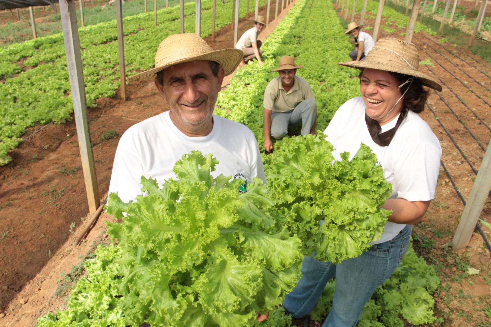 O que é agricultura familiar e qual é sua importância no agro brasileiro?