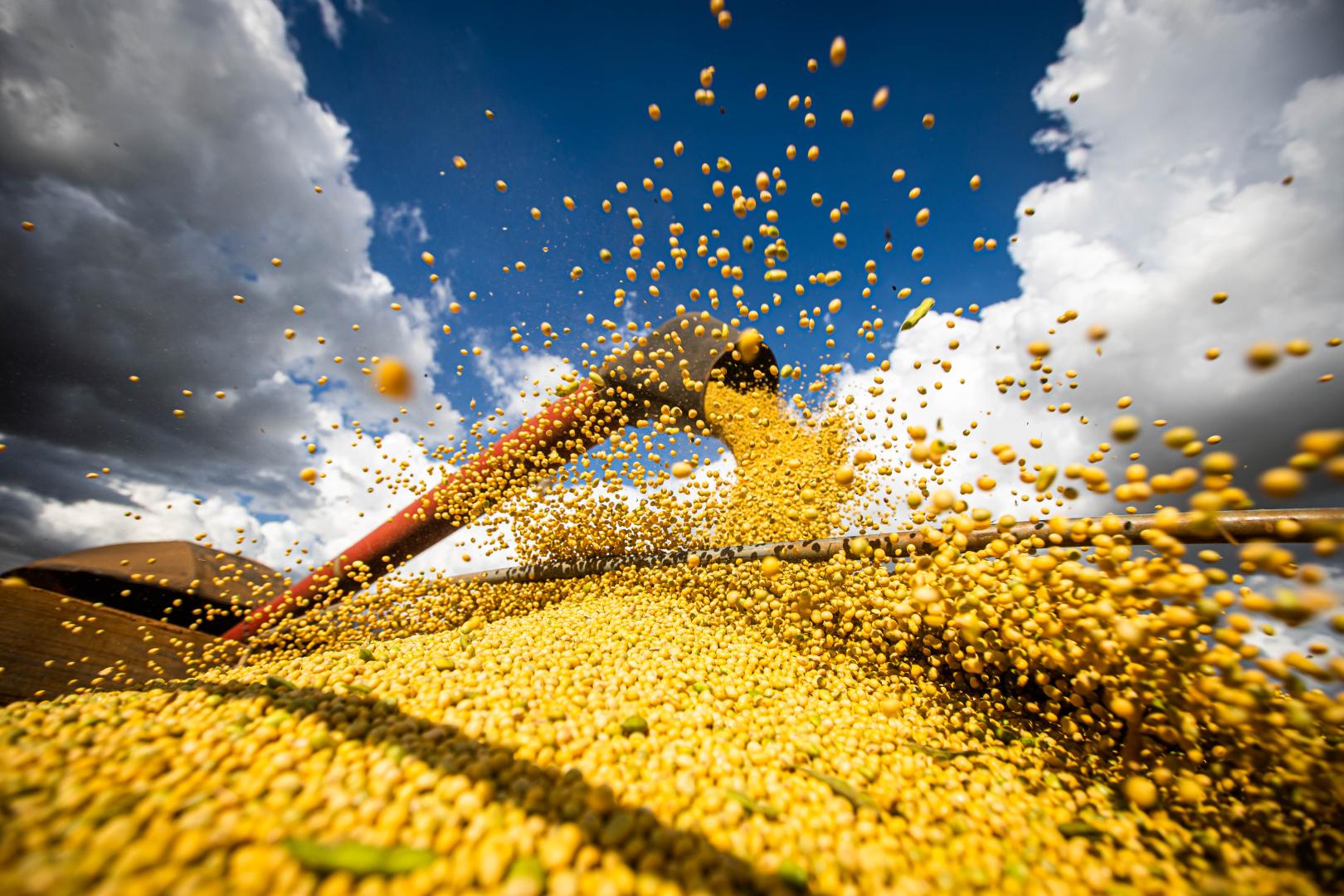 Como o Brasil se tornou uma grande potência exportadora no agronegócio?