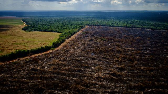 Como tem evoluído o desmatamento na Amazônia?