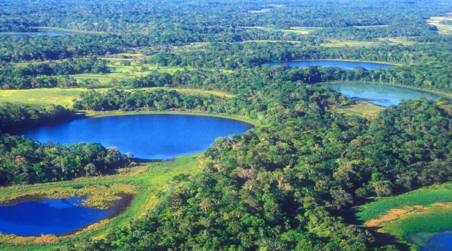 Como o Pagamento por Serviços Ambientais pode contribuir para a regularização ambiental de imóveis rurais?