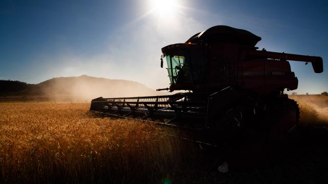 O crédito rural está acompanhando o crescimento agronegócio brasileiro?