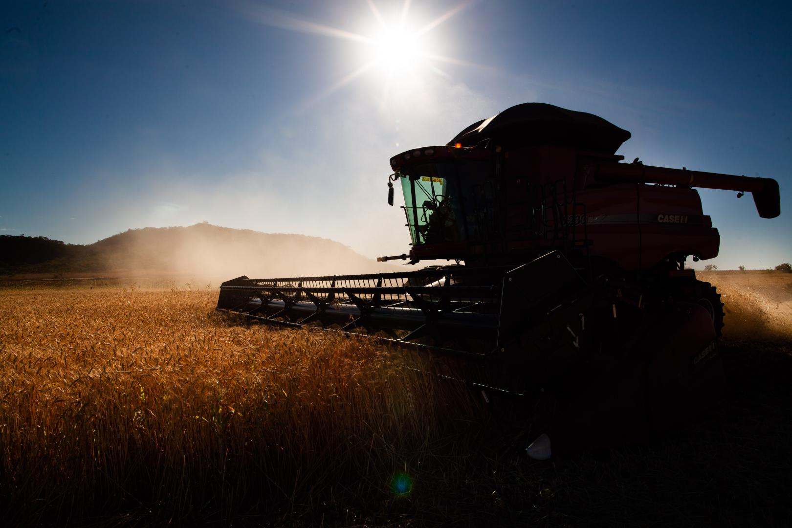 O crédito rural está acompanhando o crescimento Agronegócio Brasileiro?