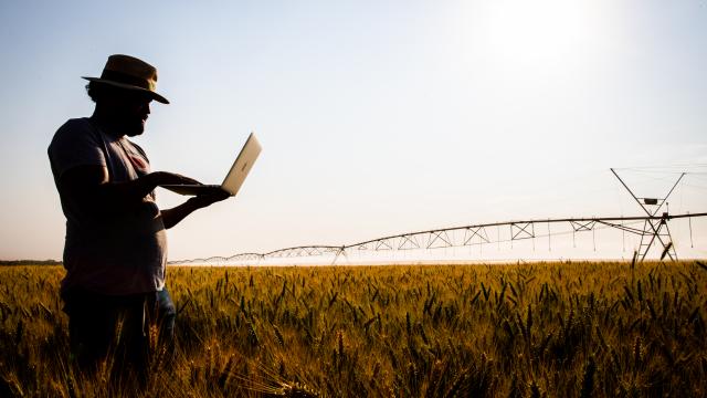 Quais são os novos caminhos tecnológicos da agricultura moderna?