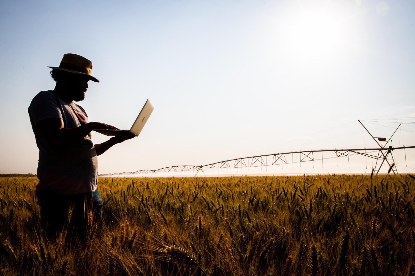 Quais são os novos caminhos tecnológicos da agricultura moderna?