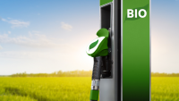 A produção de biocombustíveis ameaça a segurança alimentar?