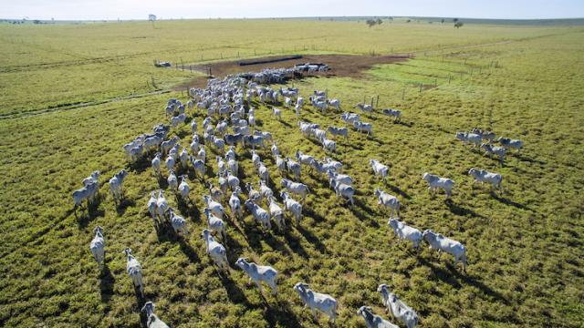 “O agro brasileiro tem uma capacidade incrível de adicionar carbono ao solo”