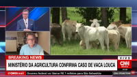 Vaca louca: Entenda os riscos que a doença traz ao país