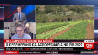 Agronegócio: 2023 deve ser um ano de recordes