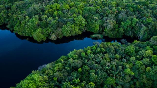 Dez anos do Código Florestal brasileiro: lento avanço