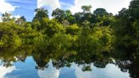 Os desafios do agro brasileiro para o protagonismo na bioeconomia global