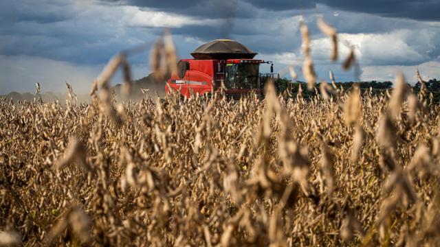 Exportações do agronegócio brasileiro disparam com novo recorde em 2022