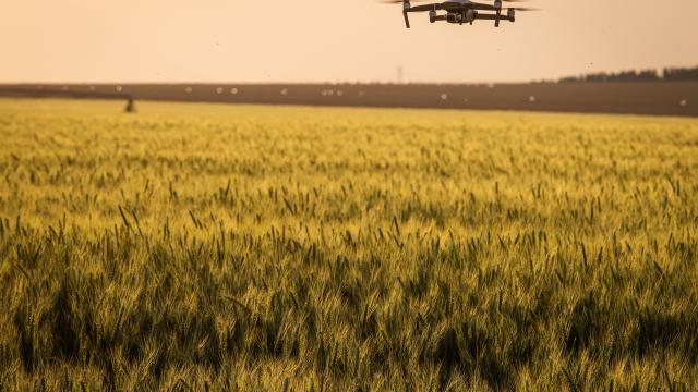 Opinião: a fragilidade oculta tecnológica antes da porteira