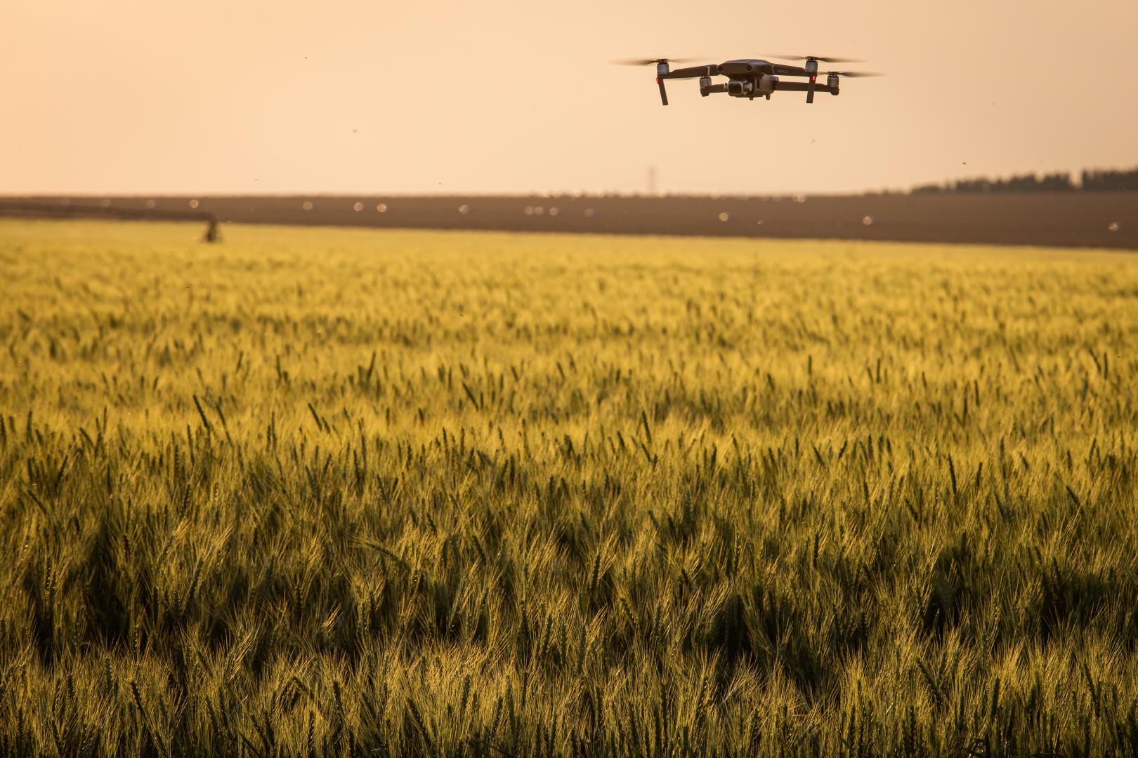 Opinião: a fragilidade oculta tecnológica antes da porteira