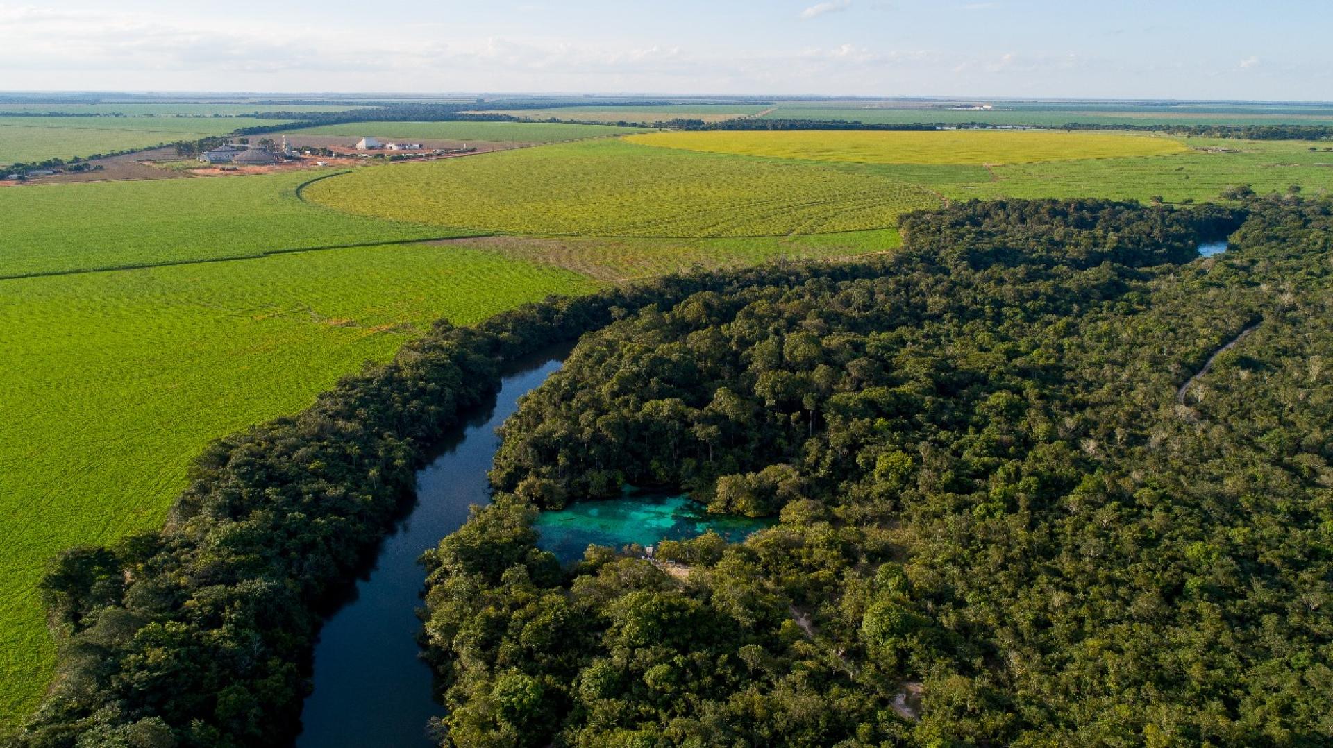 Risco de judicialização pode colocar em xeque a Lei do Licenciamento Ambiental
