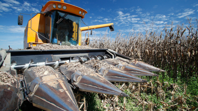 Valor recorde das exportações do agro brasileiro no primeiro semestre traz sinais positivos