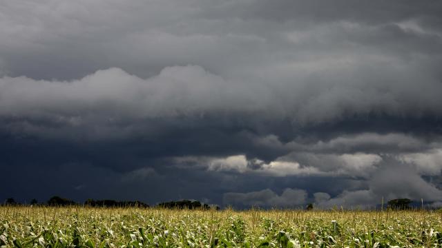 Opinião: Agro pode bater recordes em 2026, mas a conta ainda não fecha no campo
