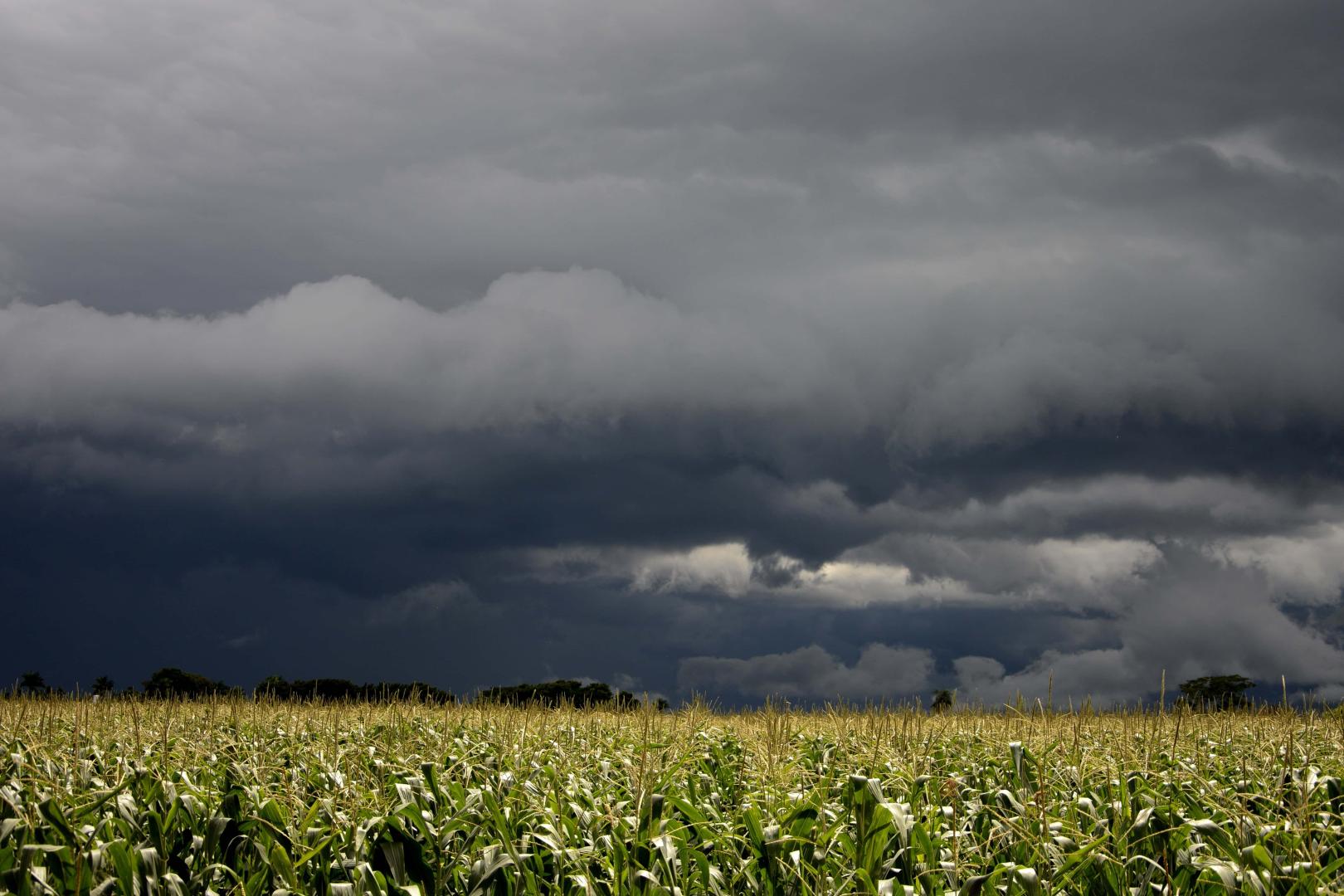 Opinião: Agro pode bater recordes em 2026, mas a conta ainda não fecha no campo