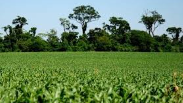 O diálogo necessário entre agricultura e meio ambiente