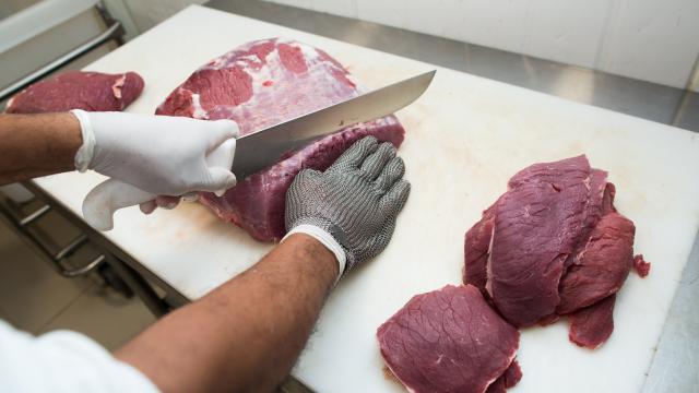 Regra da união europeia sobre antimicrobianos acende alerta para carne brasileira