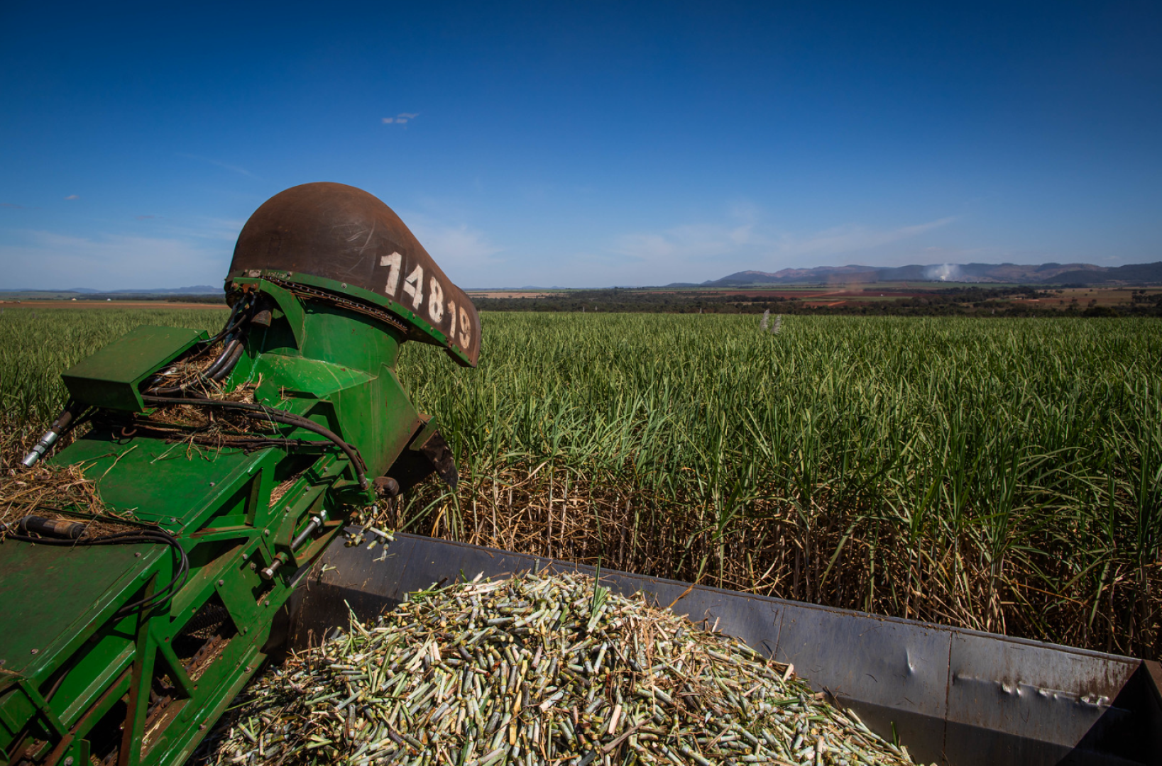 Alimentos, combustíveis e o futuro: os biocombustíveis na era da eletrificação