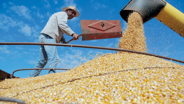 A inflação dos alimentos no Brasil em 2020