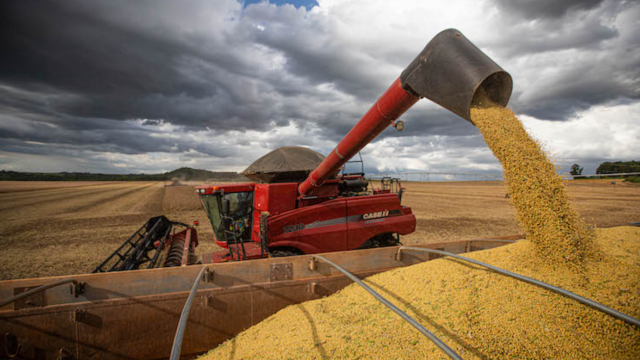 O agronegócio brasileiro alimentará o mundo?