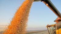 Impactos da alta das commodities sobre o agronegócio e o Brasil