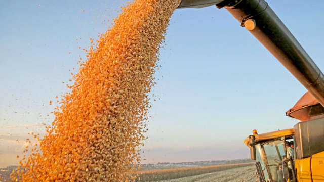 Impactos da alta das commodities sobre o agronegócio e o Brasil