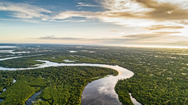 O agro brasileiro na agenda de biodiversidade