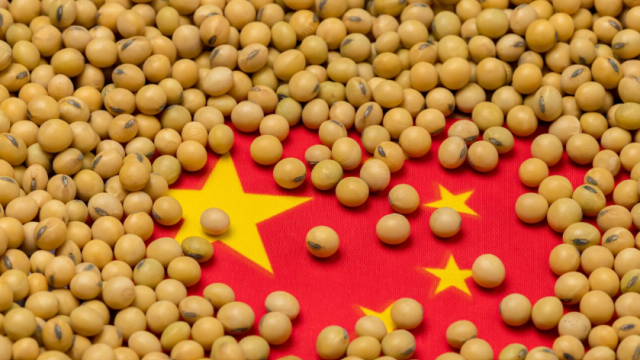 A China é a fábrica do mundo. Agora quer ser também a fazenda