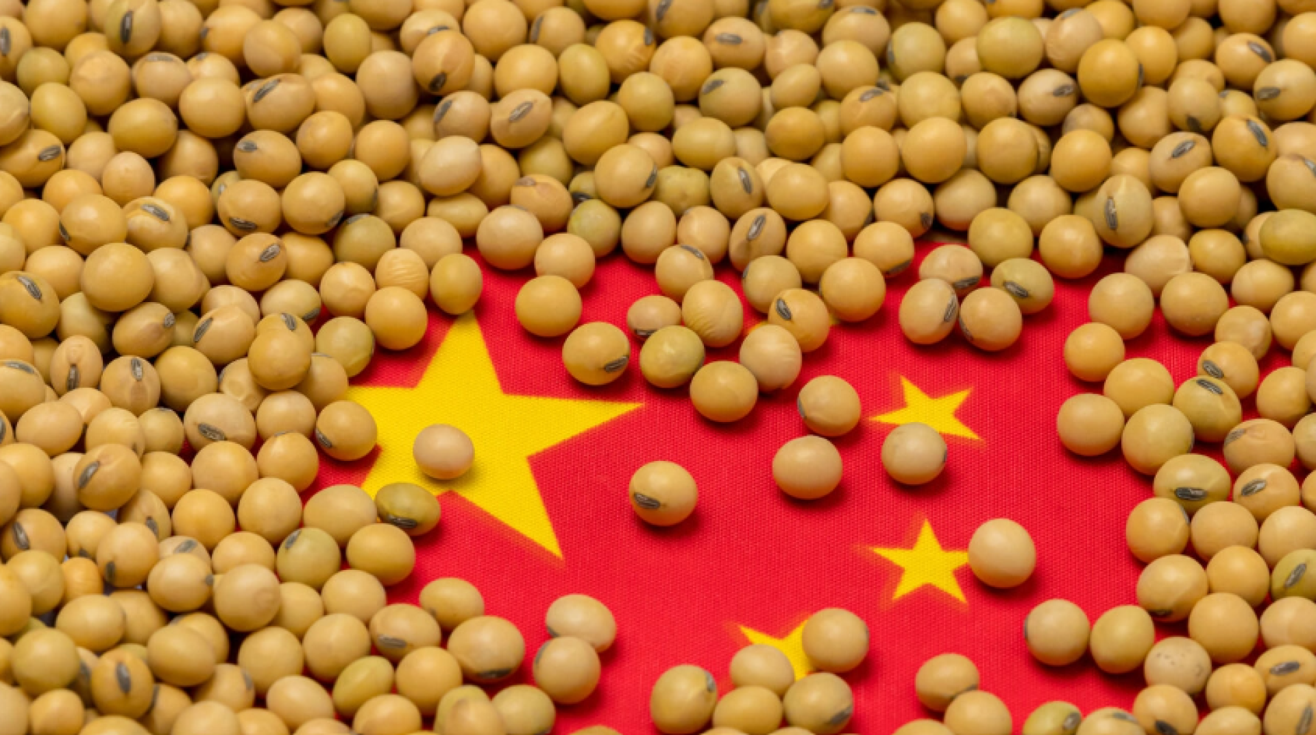 A China é a fábrica do mundo. Agora quer ser também a fazenda