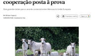 Opinião: Embargo à carne brasileira, a cooperação posta à prova