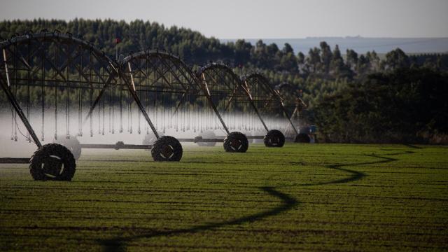 Desafios do agro compelem melhor coordenação