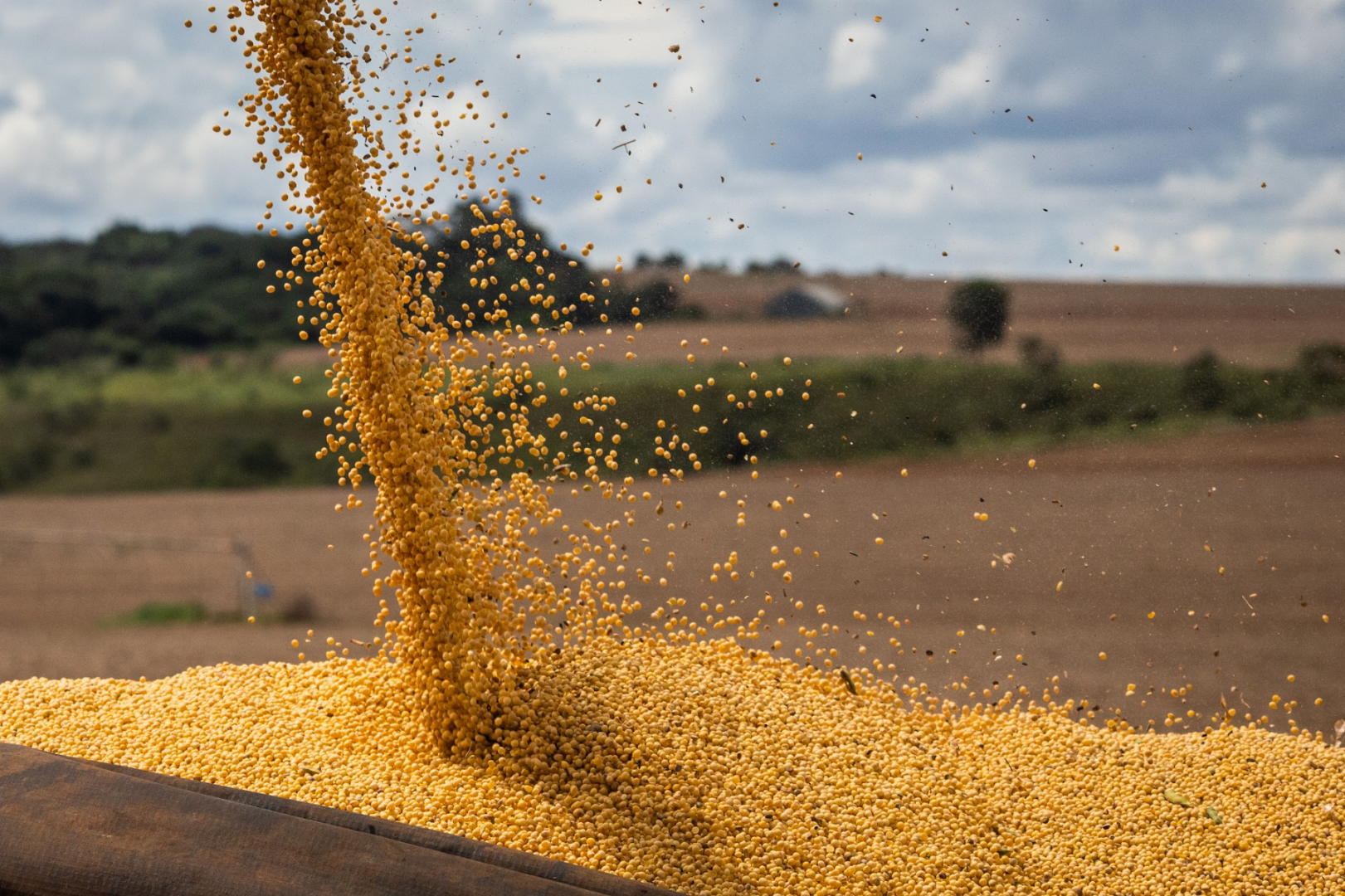 Exportações do agronegócio no primeiro trimestre de 2024 avançam 4,5% em relação ao mesmo período de 2023