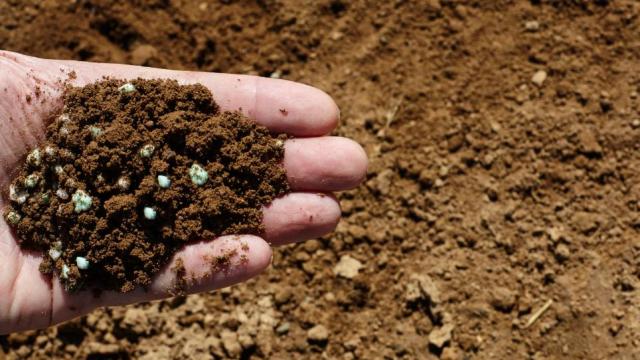 OPINIÃO: Conflitos expõem vulnerabilidades em insumos e redesenha pressões geopolíticas sobre o agro