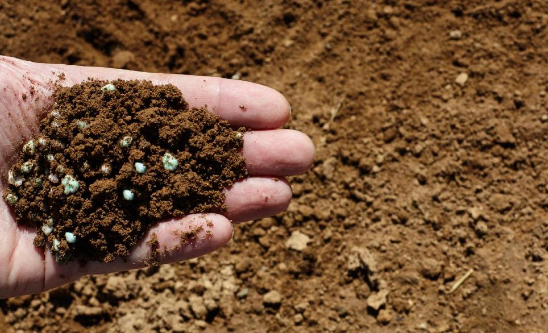 OPINIÃO: Conflitos expõem vulnerabilidades em insumos e redesenha pressões geopolíticas sobre o agro