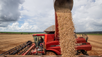 Resultado do agro na divulgação do PIB do terceiro trimestre de 2023