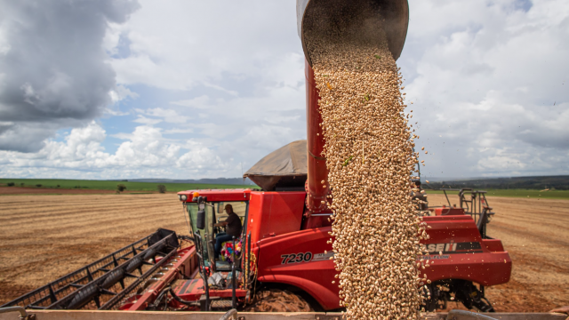 Resultado do agro na divulgação do PIB do terceiro trimestre de 2023