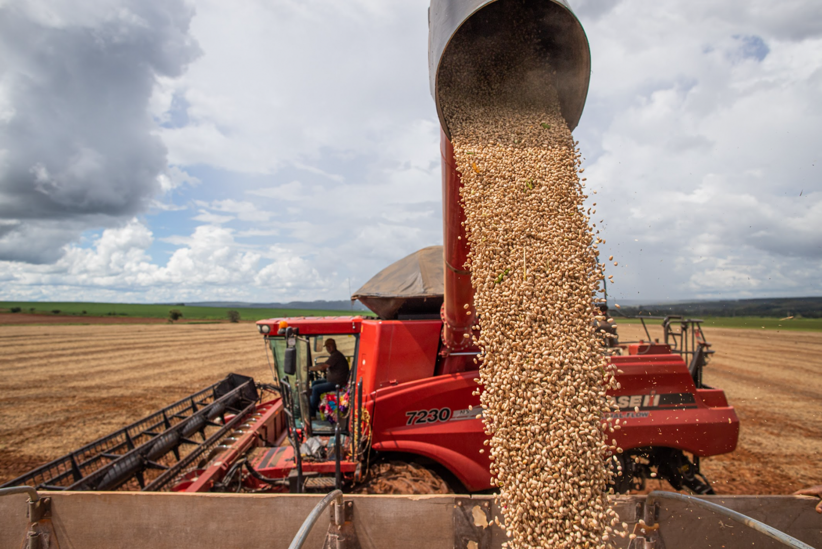 Resultado do agro na divulgação do PIB do terceiro trimestre de 2023