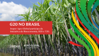 Insper Agro Global vai participar ativamente de debates no G20, B20 e T20