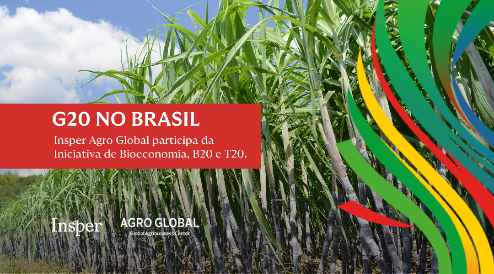 Insper Agro Global vai participar ativamente de debates no G20, B20 e T20