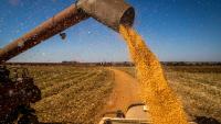 PIB brasileiro cresce 2,9% em 2023, impulsionado pelo bom resultado da agropecuária