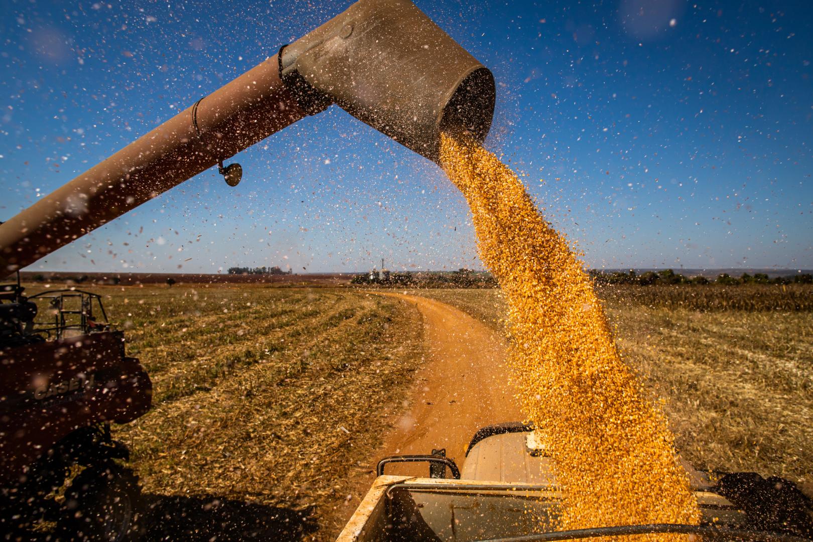 PIB brasileiro cresce 2,9% em 2023, impulsionado pelo bom resultado da agropecuária