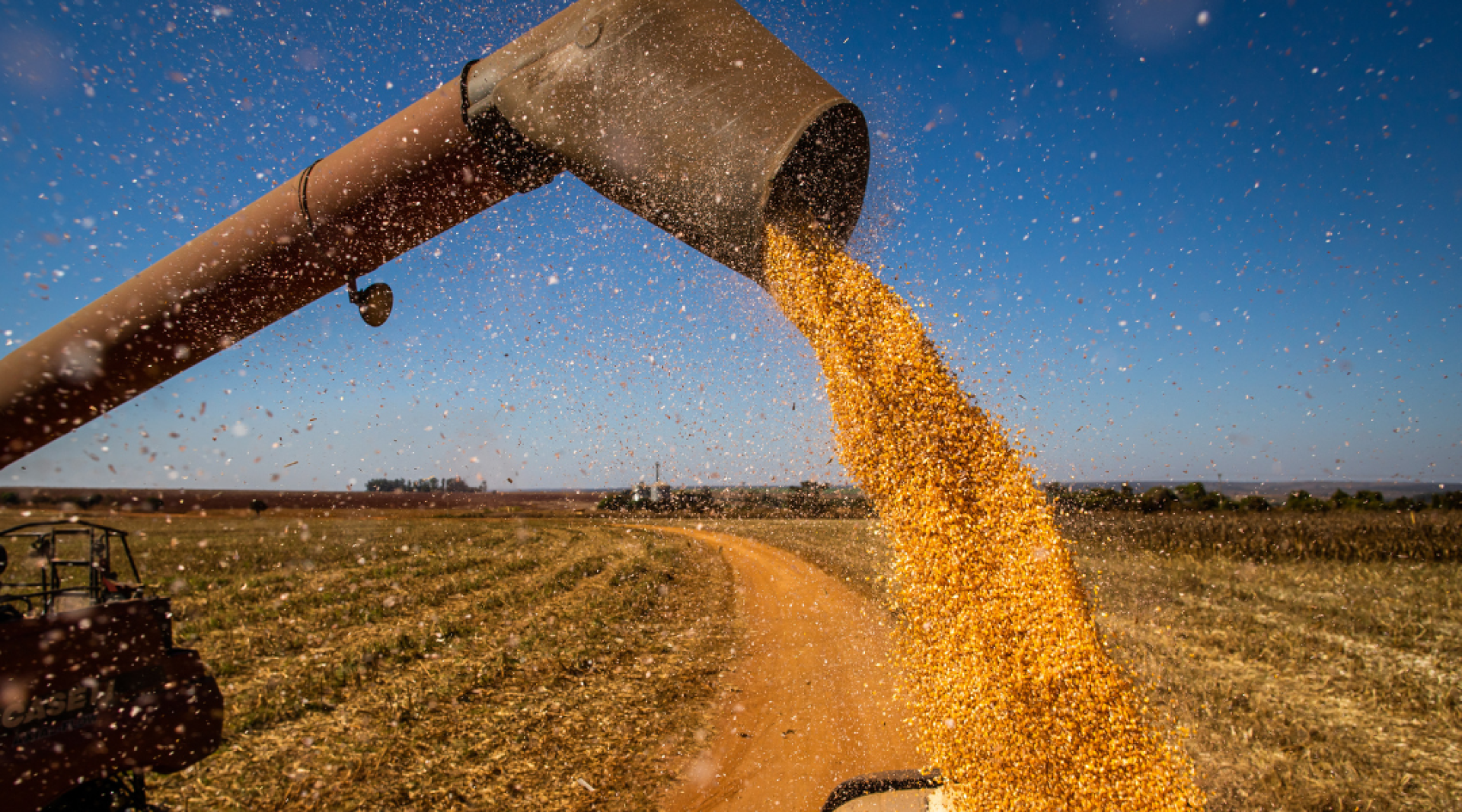 Agropecuária puxa crescimento de 2,9% do PIB em 2023